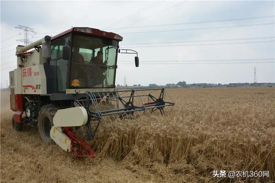 麦客首选，一机多用！沃得皓龙轮式纵轴流4LZ-8F型收获机闪耀上市