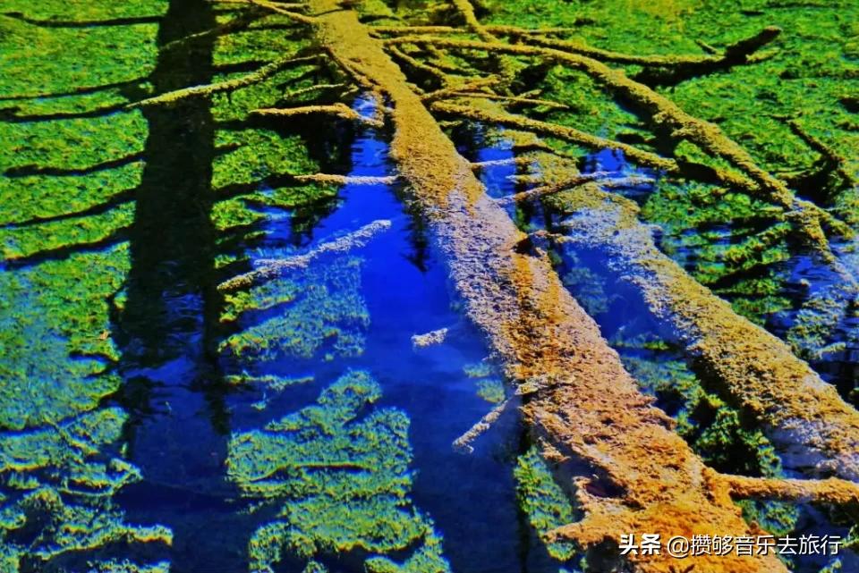 甘孜欢迎您,四川甘孜州欢迎您