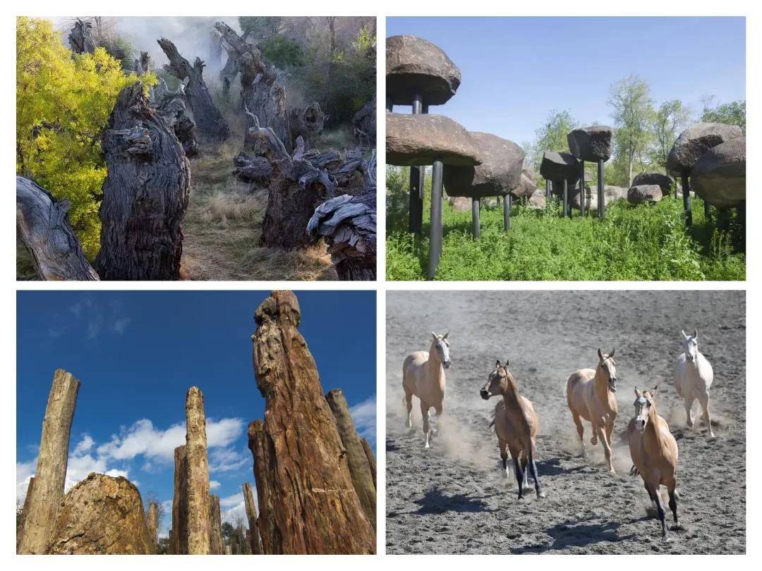 马踢一脚的力量有一锤重吗,马后腿踢一脚有多大的力量