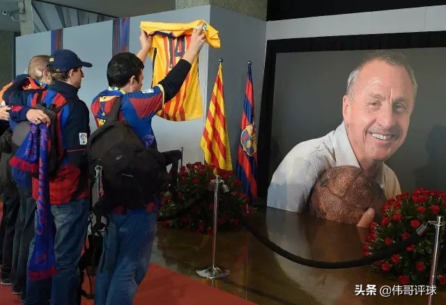 荷兰郁金香克鲁伊夫,克鲁伊夫郁金香