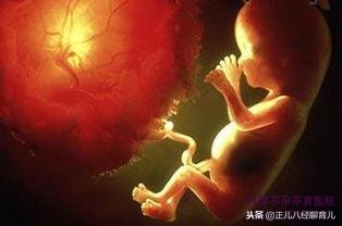 胚胎停育一周会又活了吗,胚胎停育如何理性应对