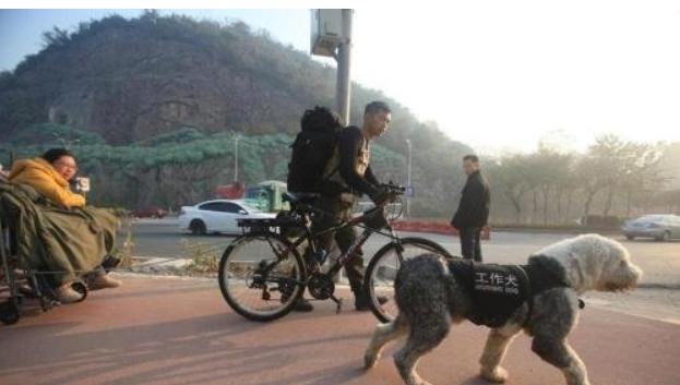 戈赞养柯基视频,戈赞