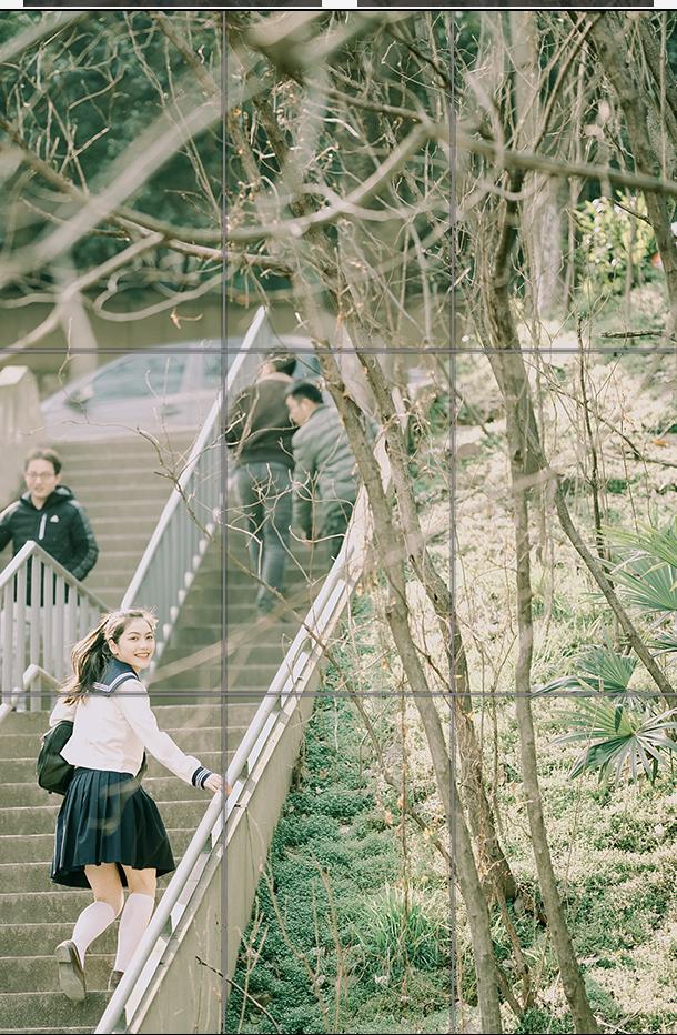 苹果手机摄影自学入门,拍照摄影入门教程自学