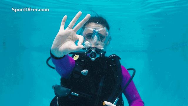 深潜与浮潜,深潜浮潜海钓