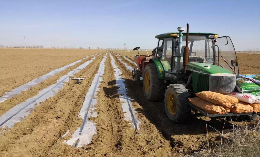 哈密土地荒废农民怎么活,农村土地荒废