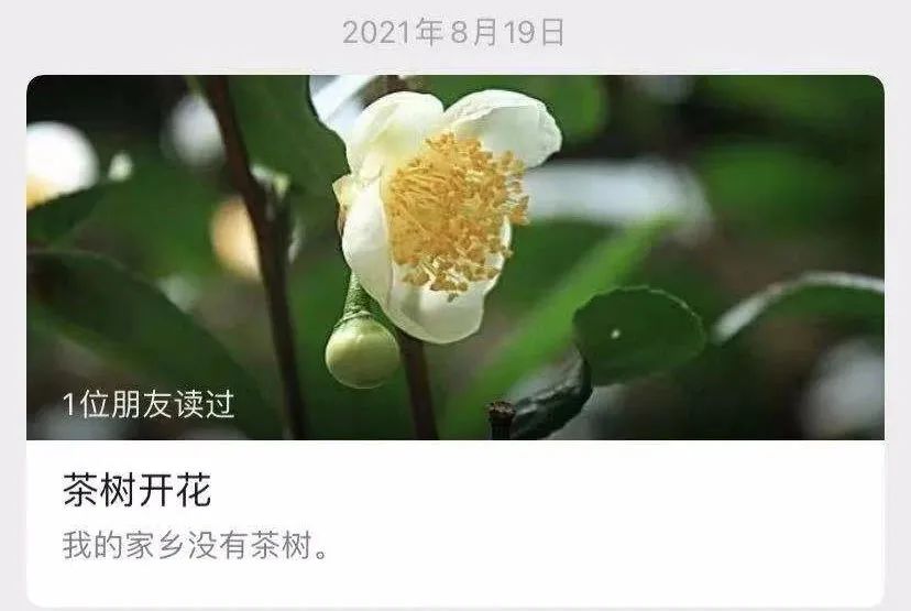 陈慧作家采访,陈慧作家作品