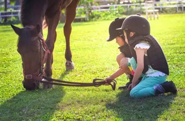 美高梅酒店热气球,美高梅热气球