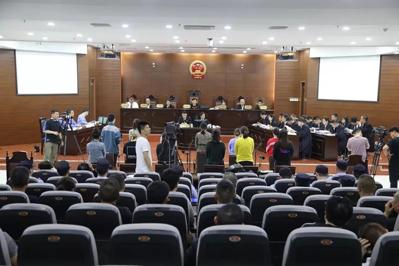 江苏一女子因迷恋减肥误入歧途:销售201万粒有毒*肥药减**获利228万,成本四五毛卖80元一粒!12人团伙被端