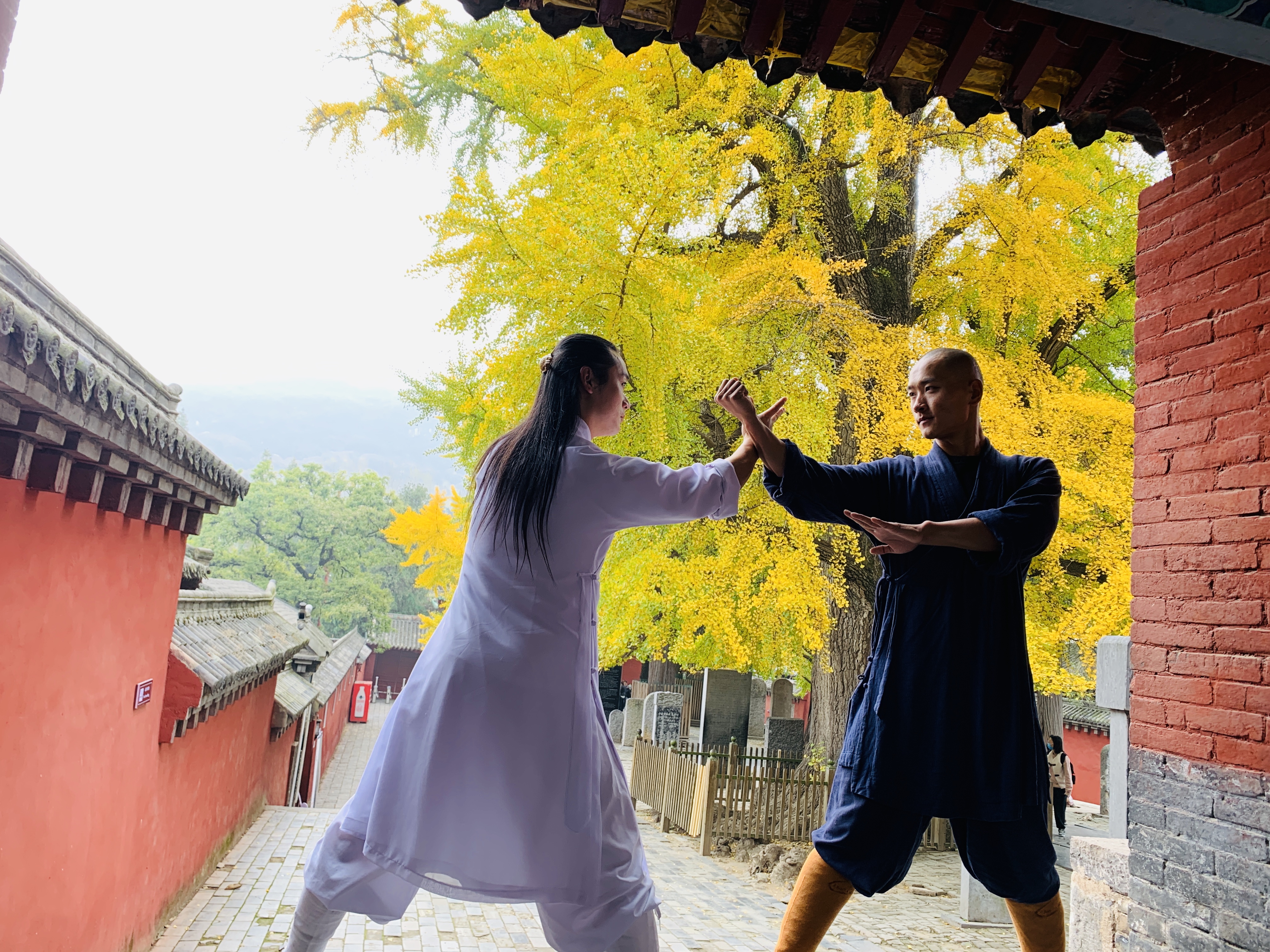 走进少林那扇无形的大门,少林一叶一菩提