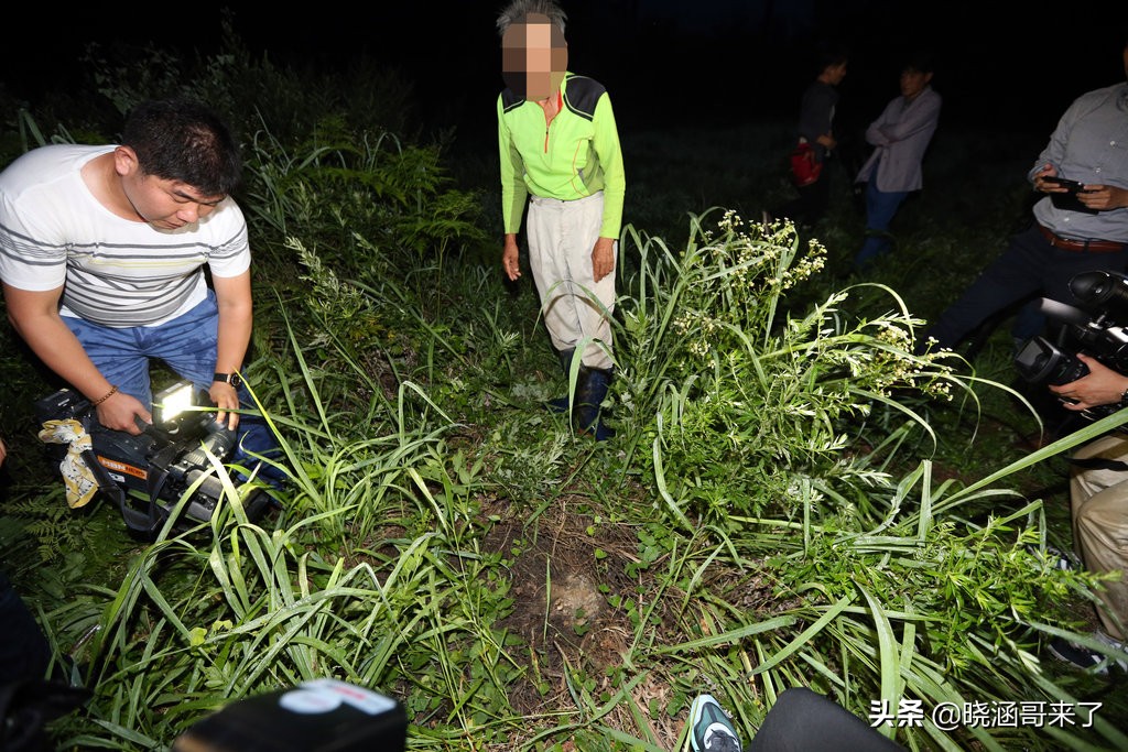 韩国世越号为什么学生不弃船,韩国世越号轮船事件