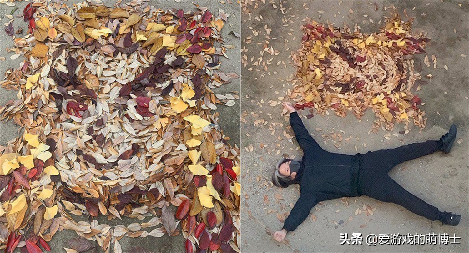 用落叶还原《动物森友会》西施惠，这位日本老师太有才了