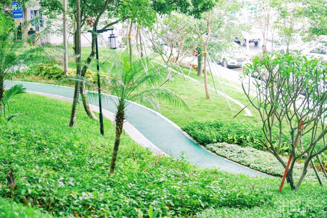 深圳八大绝美公园,山水公园深圳