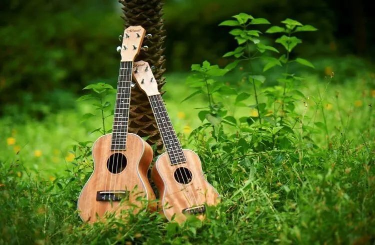 ukulele尤克里里再次见到你,尤克里里乐器小白课