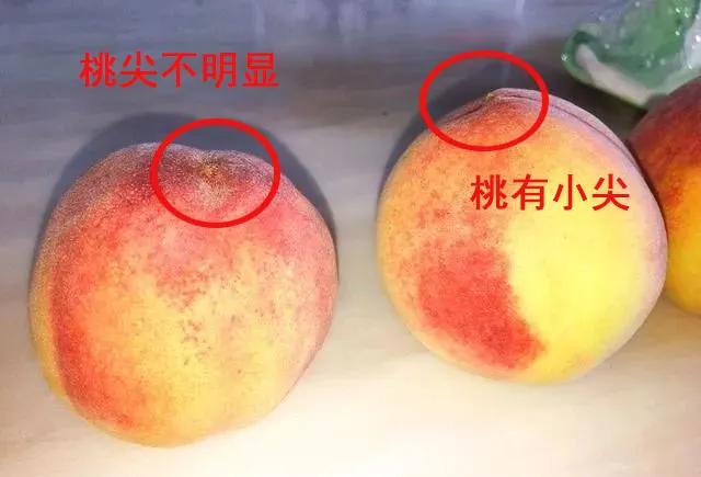 「辽阳科普」桃子上插牙签竟有这种好处！很多人都不知道