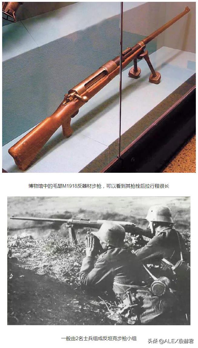 最大口径大象步枪,步枪大象