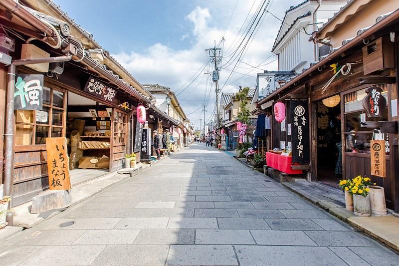 比熊猫小的熊有哪些,比大熊猫还濒危的小熊猫