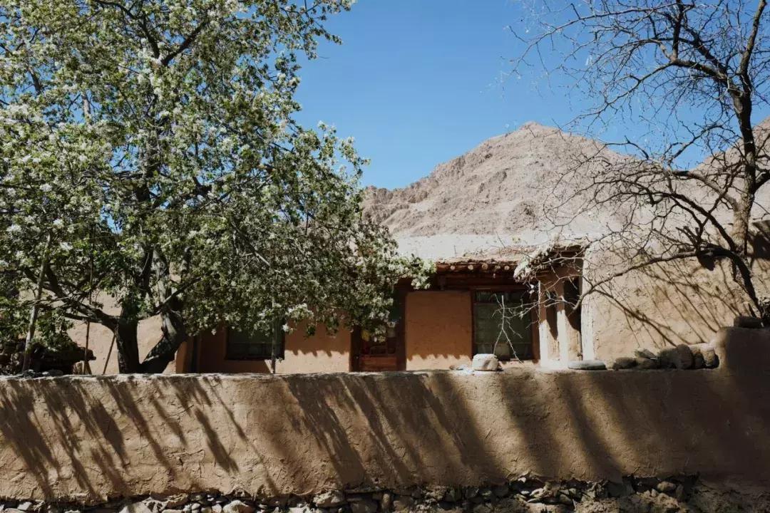 把泳池搬进沙漠,圈黄河做庭院,一个男人的西部世界,可以有多野