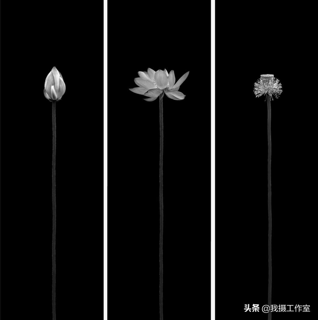 第16届国际摄影艺术展获奖作品,第29届全国摄影艺术展览作品集