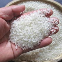 大米变黄了炒了煮了还能吃吗,大米变黄还能吃吗