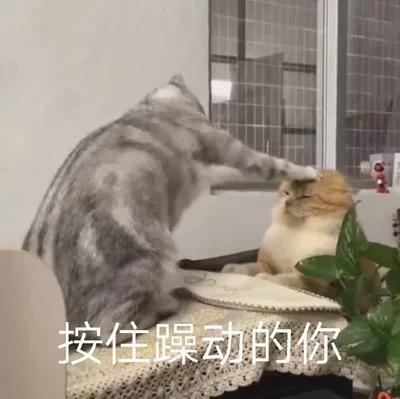 JORDAN会员惊现DIORXAJ1，店月销200多双