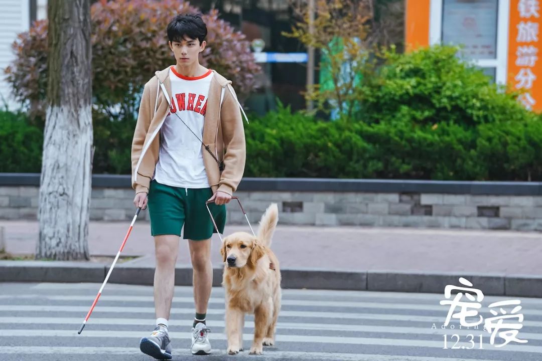 胡歌黄渤哪个电影好看,黄渤胡歌综艺节目视频