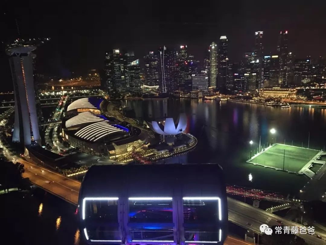 十一新加坡,十一游学新加坡