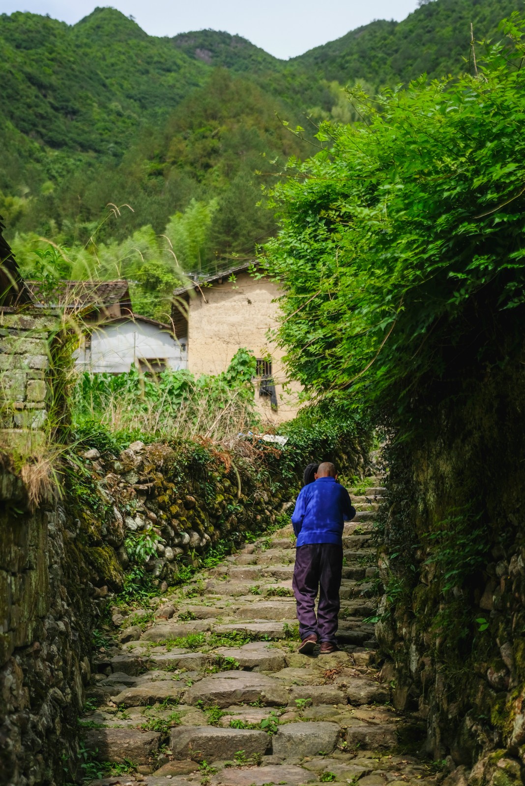遂昌仙峡湖网红绿道在哪里,遂昌仙峡湖