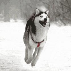 好运转运一切都会变好,好运转运玄学