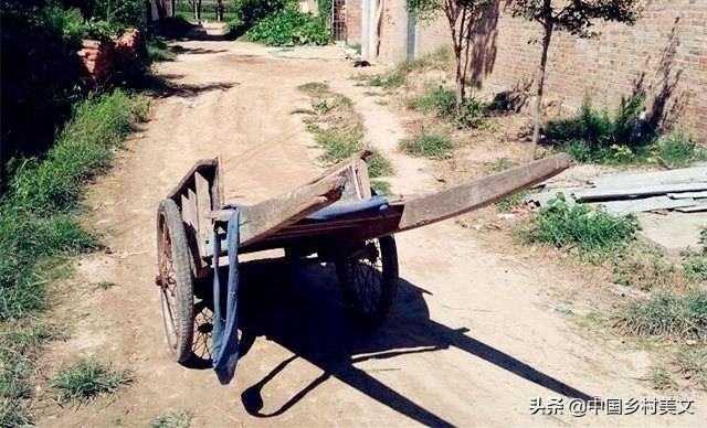 乡土散文的情感,乡土散文家乡的四季