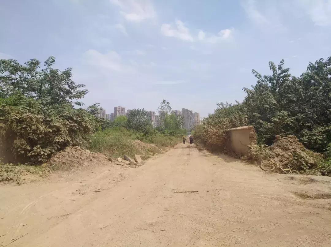 白沙洲告别篇:留汉大学生“首站”青菱新区