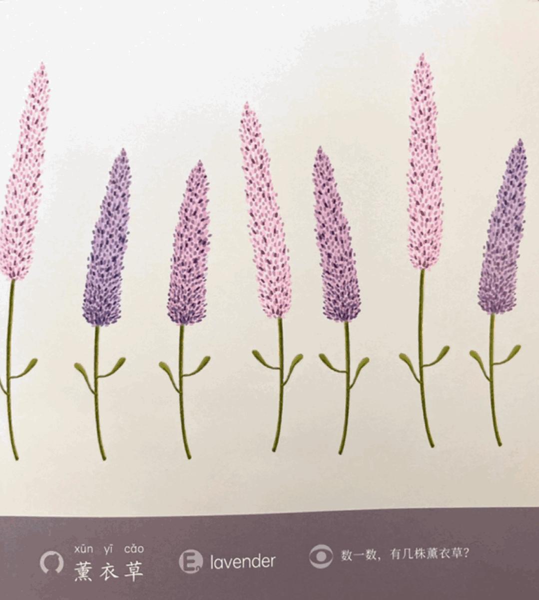 犹太人的智慧和教育方法,犹太人的早教