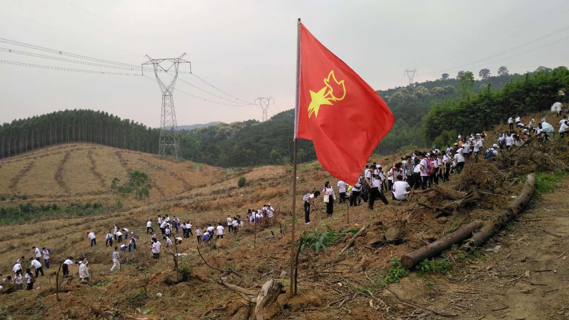 孩子参加劳动实践活动后的感受,小学生参加劳动实践后的感悟