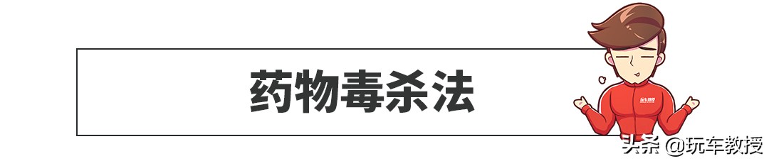 老鼠能钻进汽车驾驶室吗,如果老鼠进家里要怎么办
