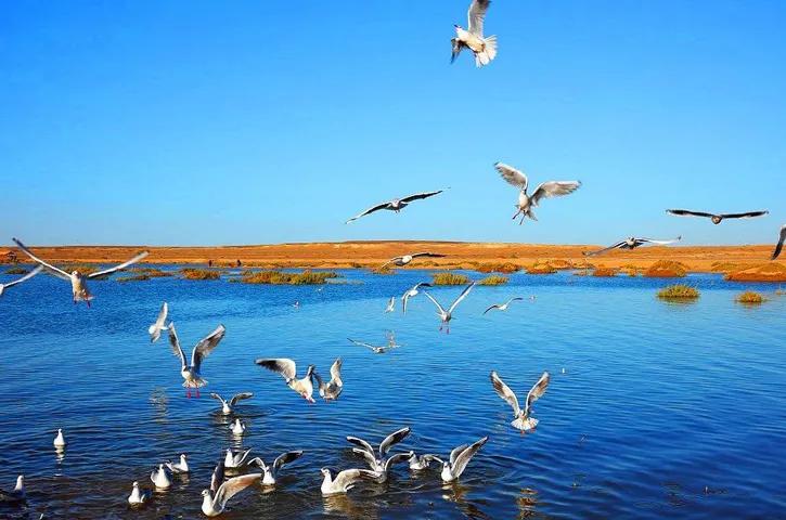 气候逆转，西安重回汉唐暖湿气候，应如何接住这份时运的馈赠