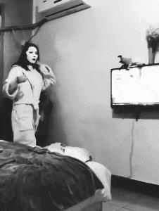 让你心动的搞笑图片,搞笑gif笑死人的动图