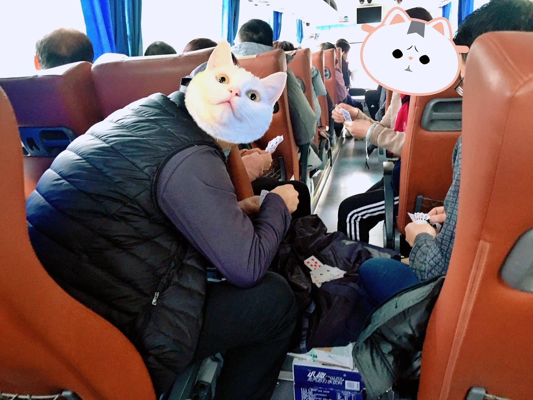 无月租无流量卡的无线wifi,免插卡三网通随身wifi可靠吗