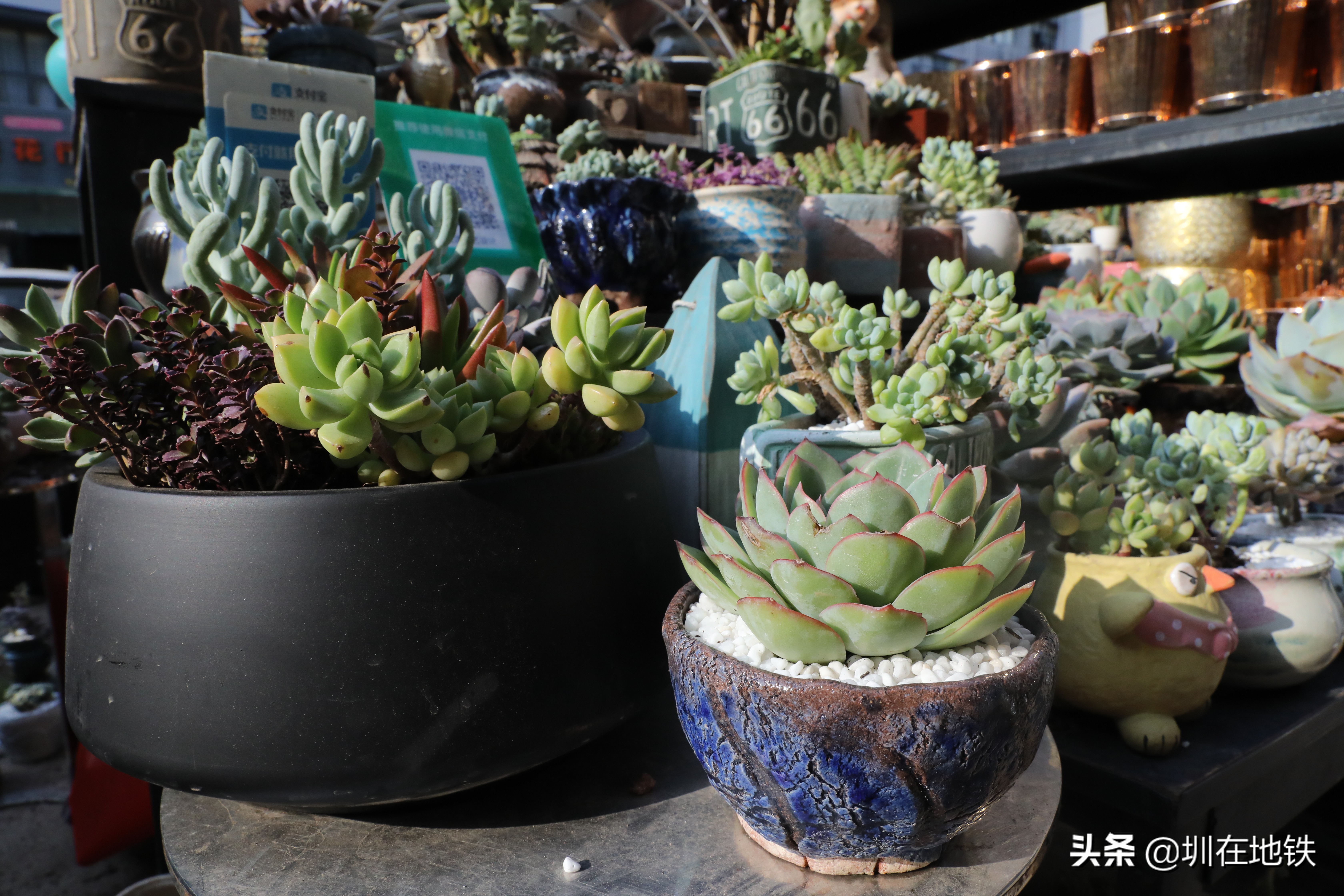 乘坐地铁到滘口花卉市场,从地铁到花卉市场