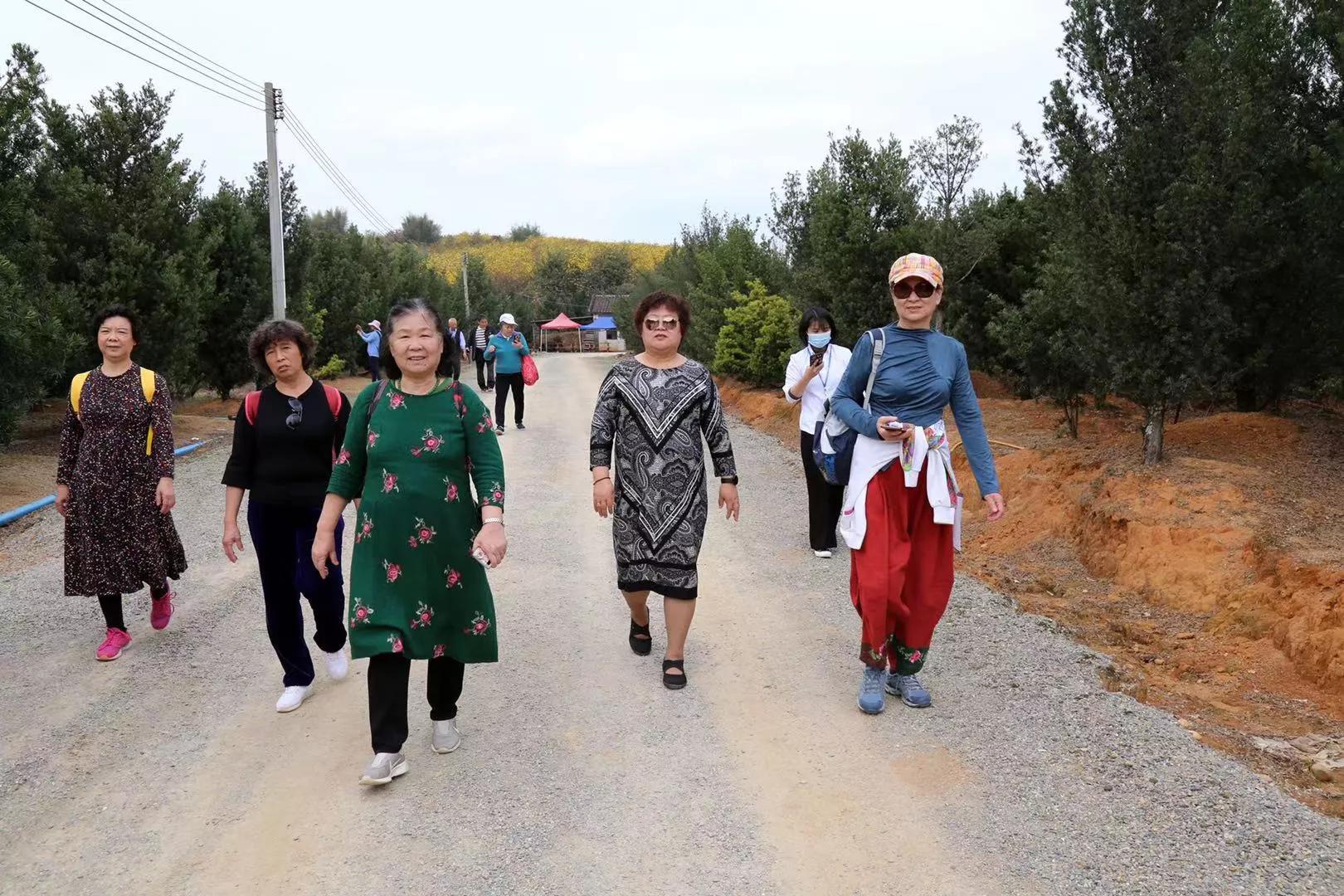 老协协会,老协有哪些活动