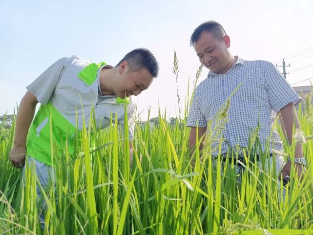 中储粮责任与担当,中储粮公司的职责和使命