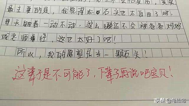我的梦想是当一名医生小学生作文,小学作文我的理想是做一坨鸡屎