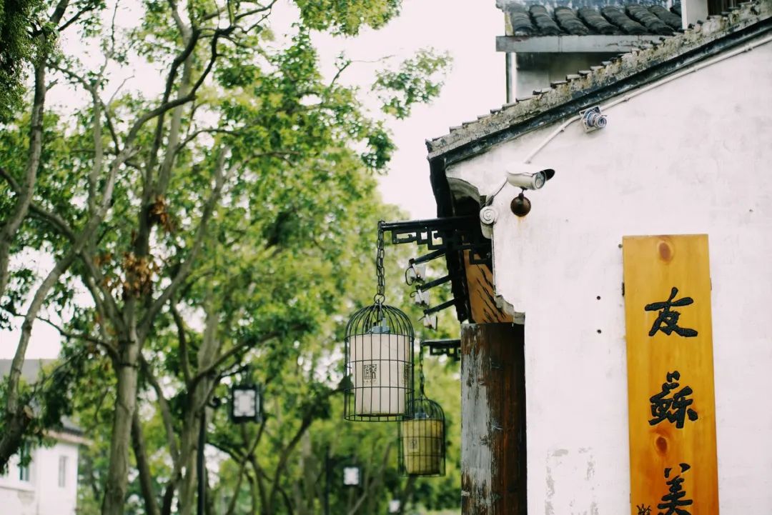 浙江五一小众旅游推荐2-3天游,五一期间有哪些小众好玩的地方