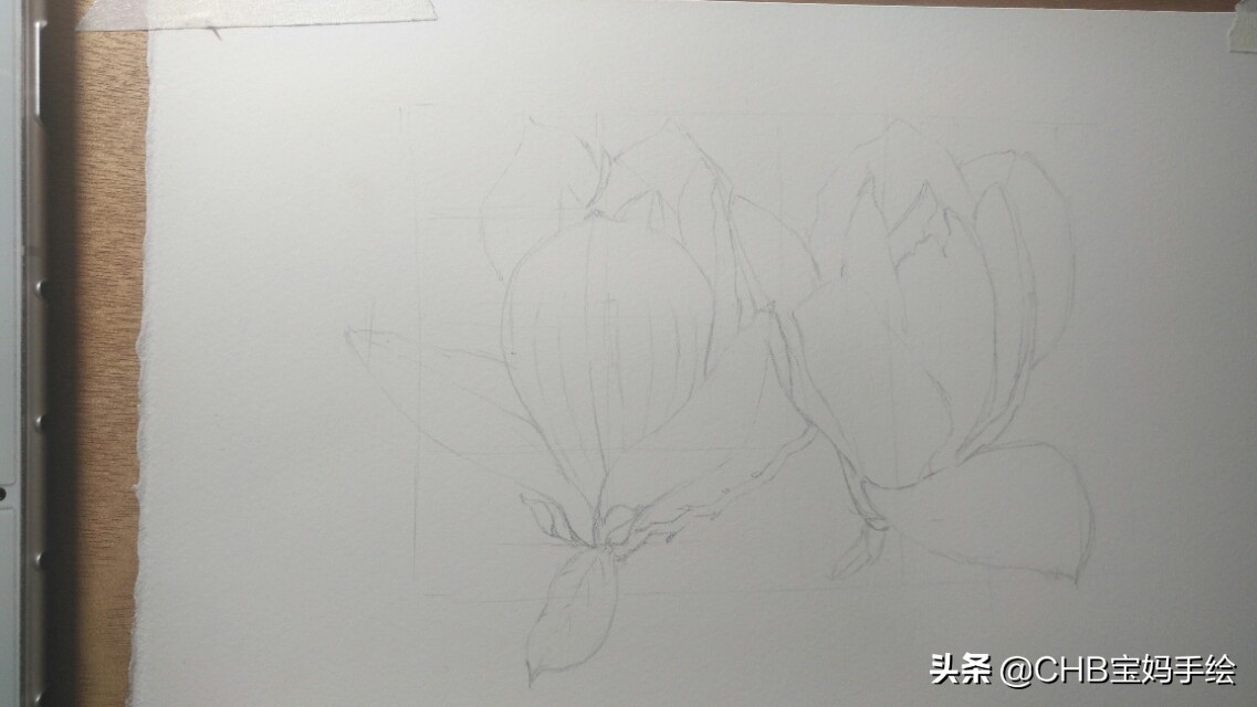 玉兰彩铅画教程图解,零基础彩铅画入门教程桃花