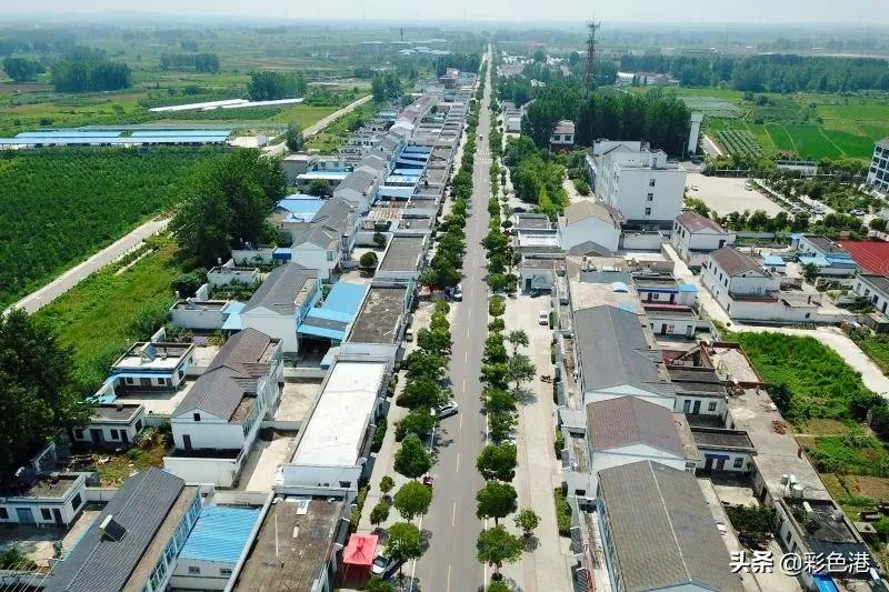 2022全国晚报摄影优秀图片评选,记者获奖照片触目惊心