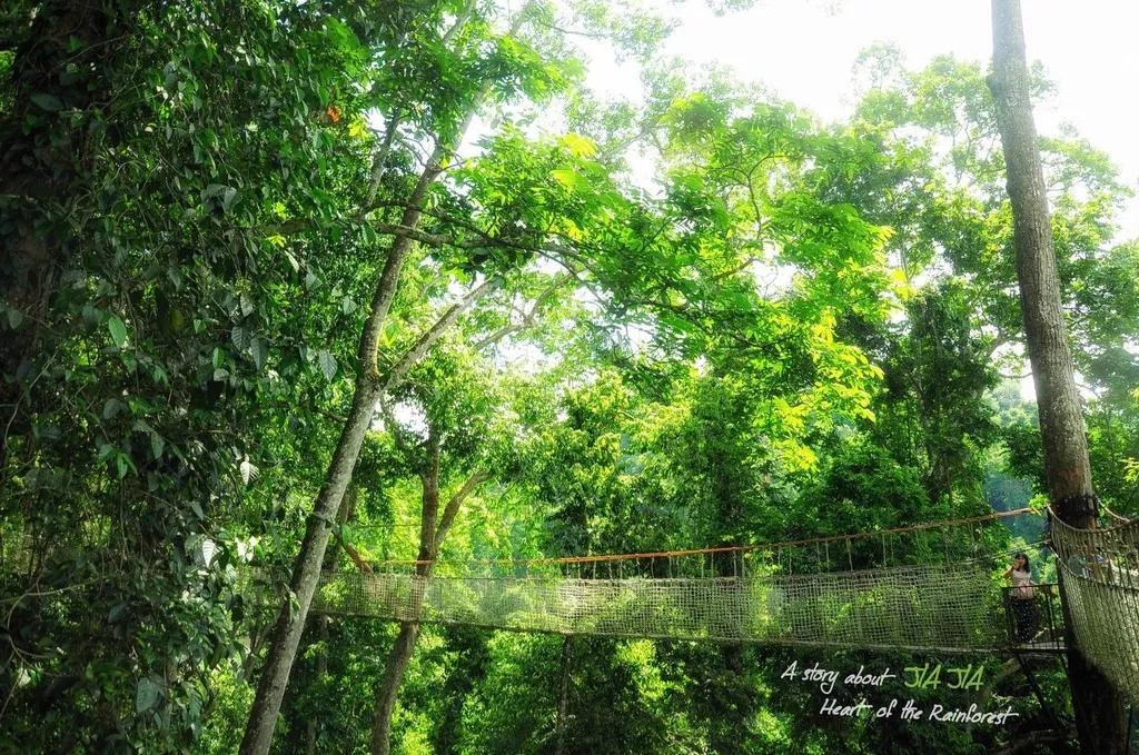 向往的生活第四季西双版纳第一集,向往的生活第四季西双版纳拍摄地