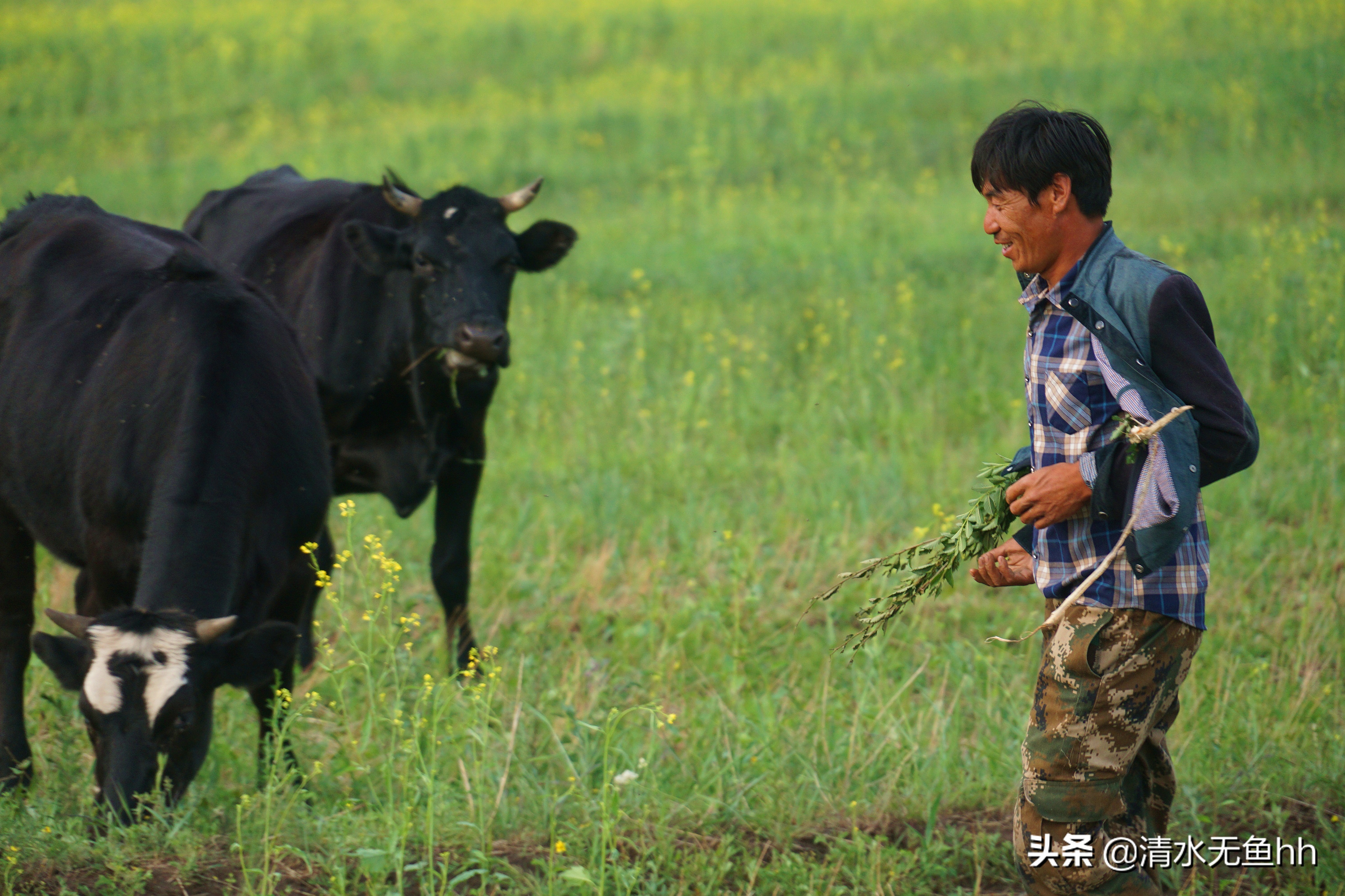 京北第一天路草原最全攻略,京北第一天路自驾攻略