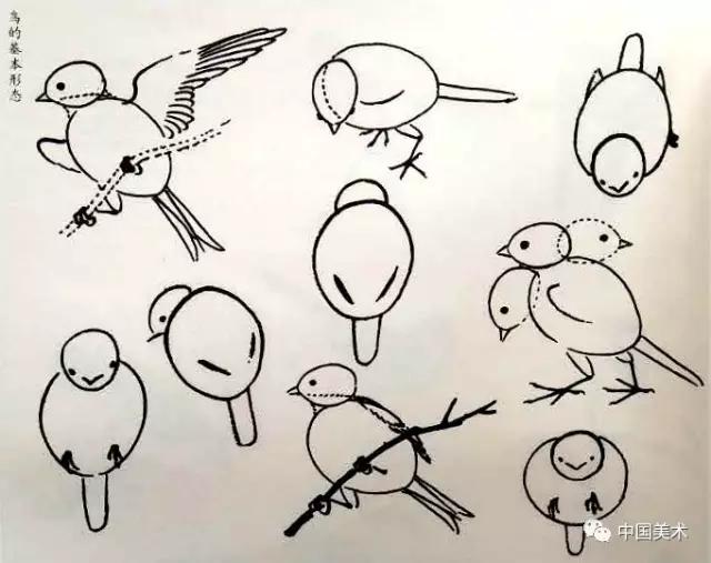 禽鸟画教程,最简单的禽鸟画法