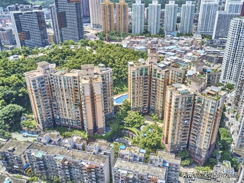 深圳罗湖区有哪些名校,翠园东晓中学在深圳排名