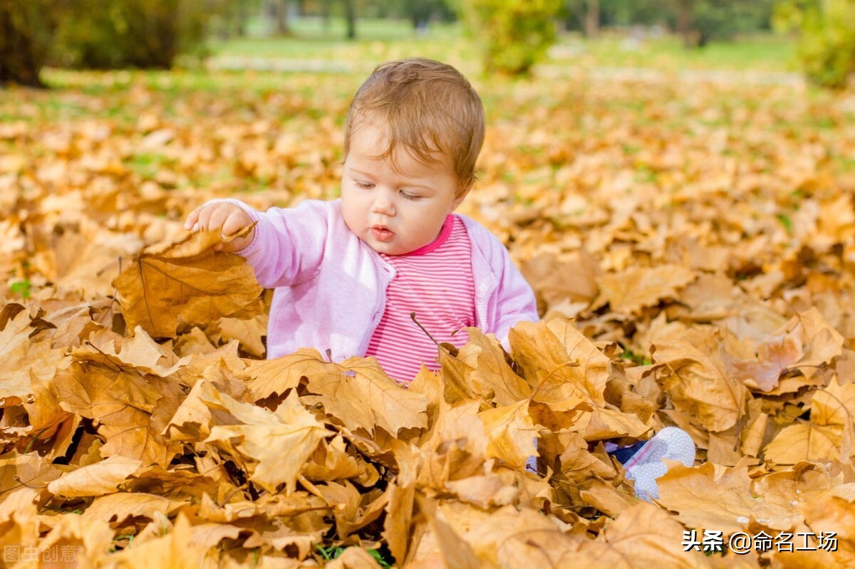 男孩名字气度不凡,郑姓男孩起名100分的名字大全集