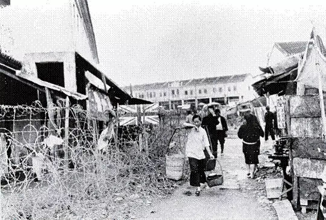 外网看深圳40年的变迁史,深圳特区40年光明变迁记