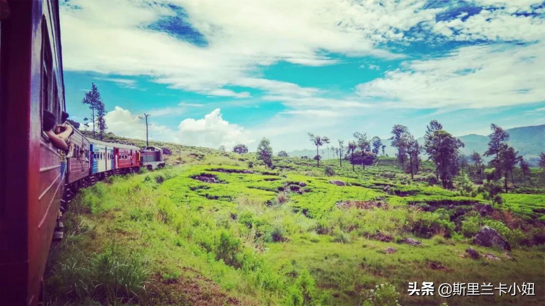 2020疫情真实纪录片,疫情真实纪录片视频